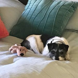 Meet your Posher, Kim